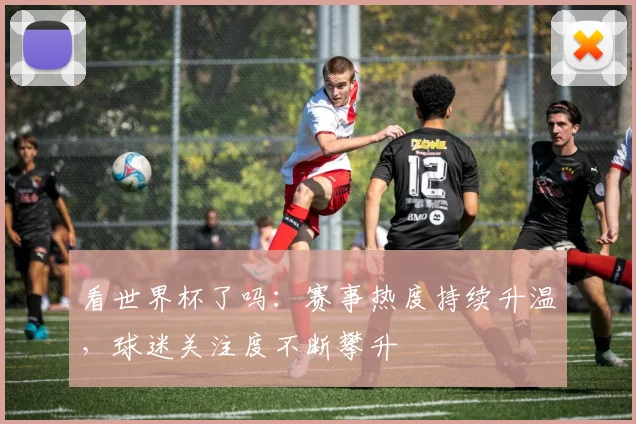 看世界杯了吗:赛事热度持续升温,球迷关注度不断攀升