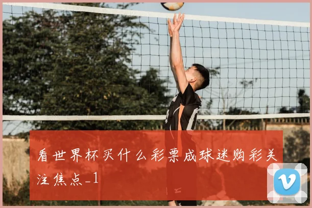 看世界杯买什么彩票成球迷购彩关注焦点_1