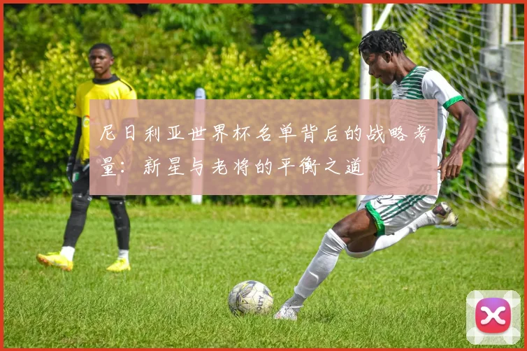 尼日利亚世界杯名单背后的战略考量：新星与老将的平衡之道