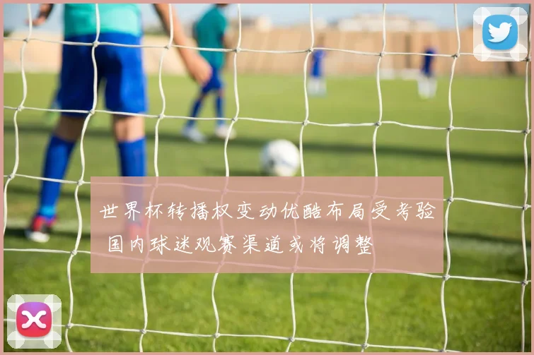 世界杯转播权变动优酷布局受考验 国内球迷观赛渠道或将调整